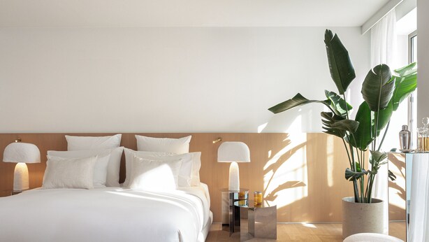 A modern bedroom with a large bed, bedside lamps, a nightstand, a potted plant, and a small table with a bottle and glass.