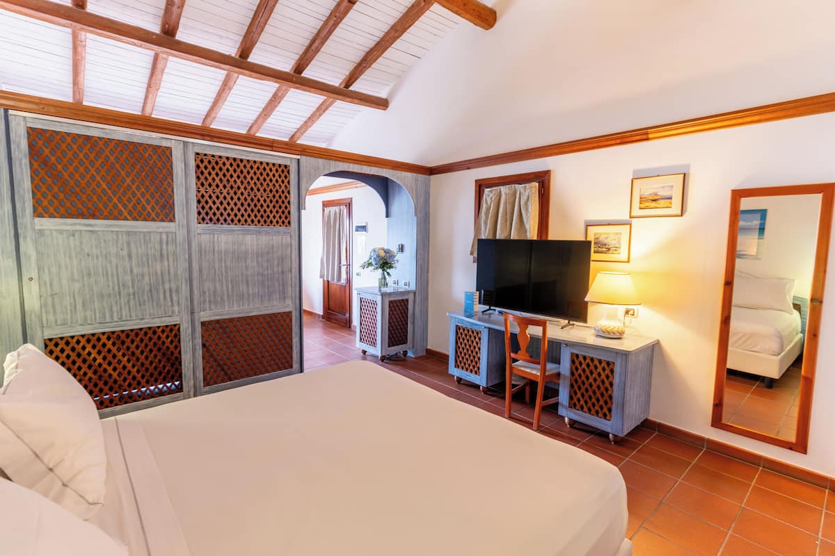 Habitación de hotel con cama, escritorio, televisor, espejo y vista al pasillo.