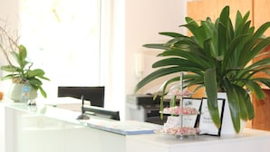 Un espace d’accueil avec un comptoir en verre, une plante en pot, un menu encadré et un présentoir décoratif.