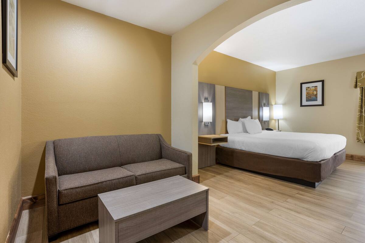 A hotel room with a sofa, a bed, a nightstand, and a lamp.