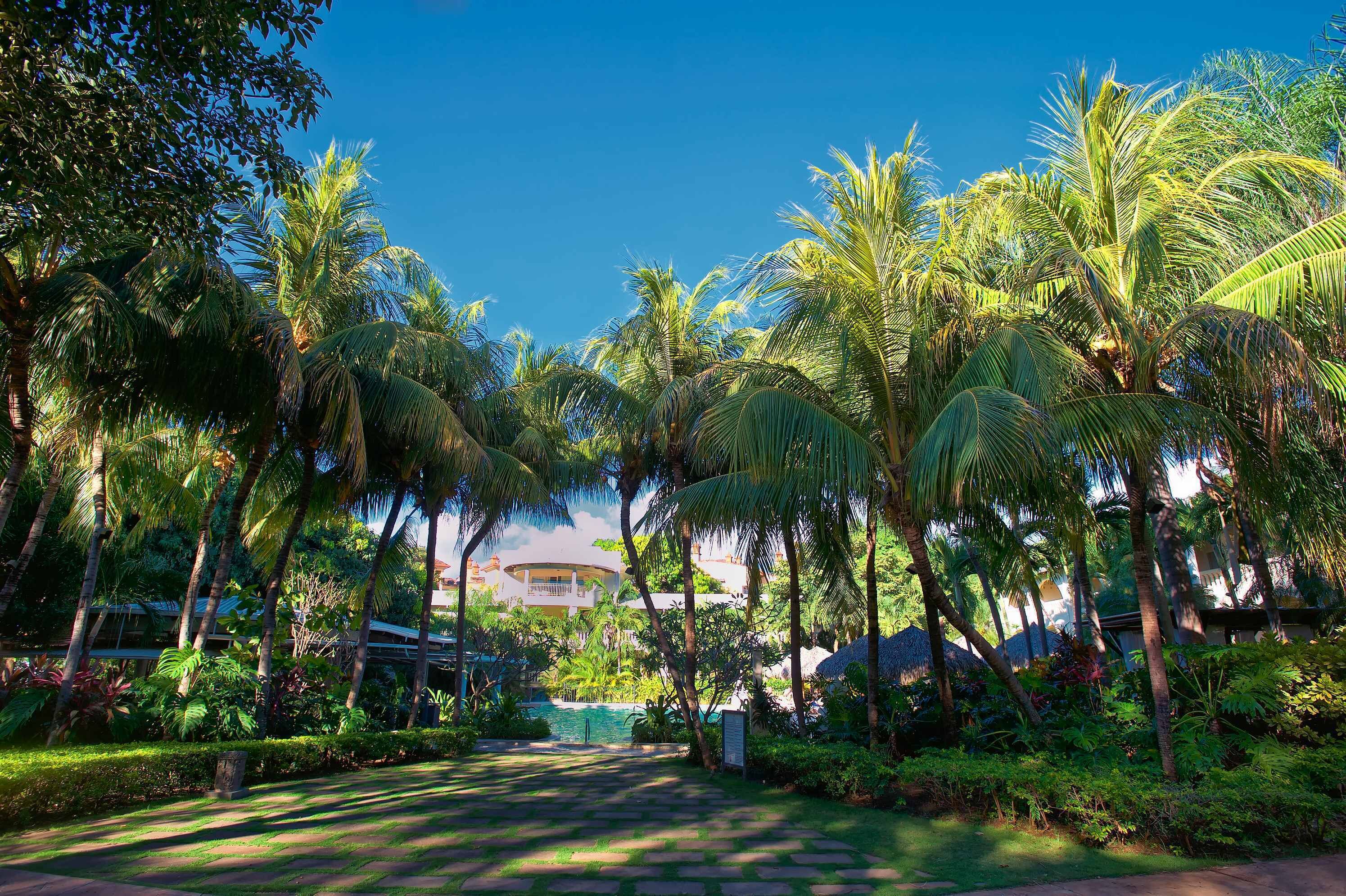 Photo - Hotel Tamarindo Diria Beach Resort