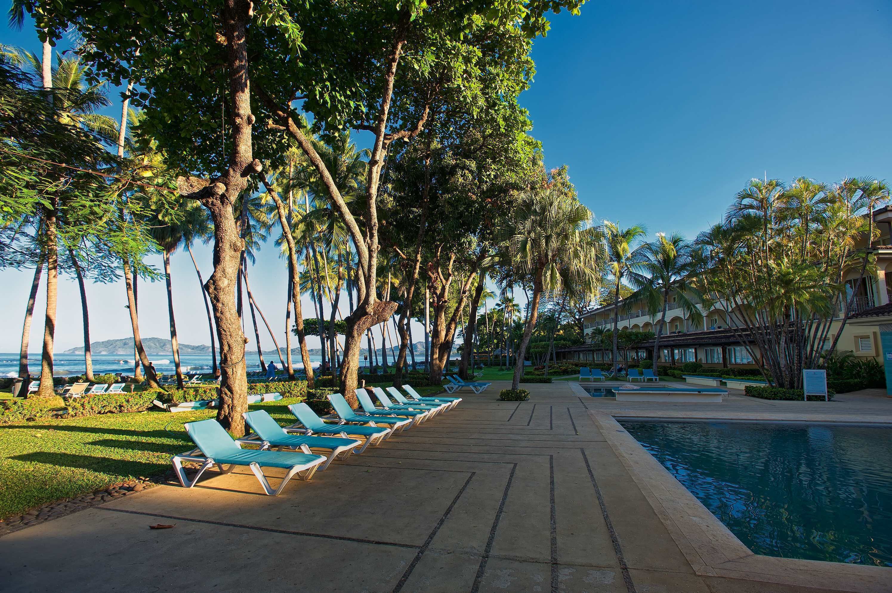 Un área junto a la piscina con sillones reclinables y palmeras.