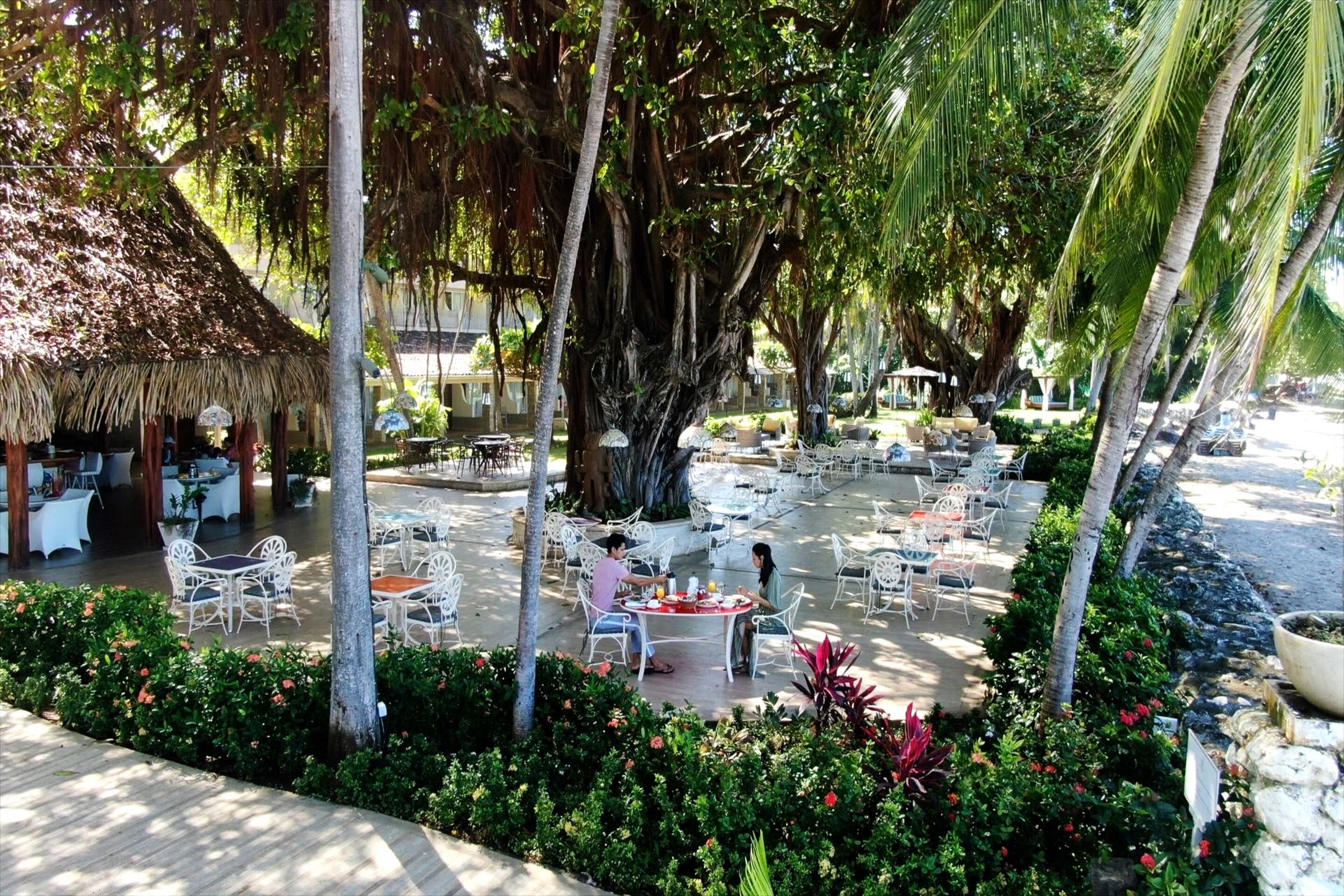 An outdoor dining area with white wicker tables and chairs, surrounded by lush greenery and palm trees.