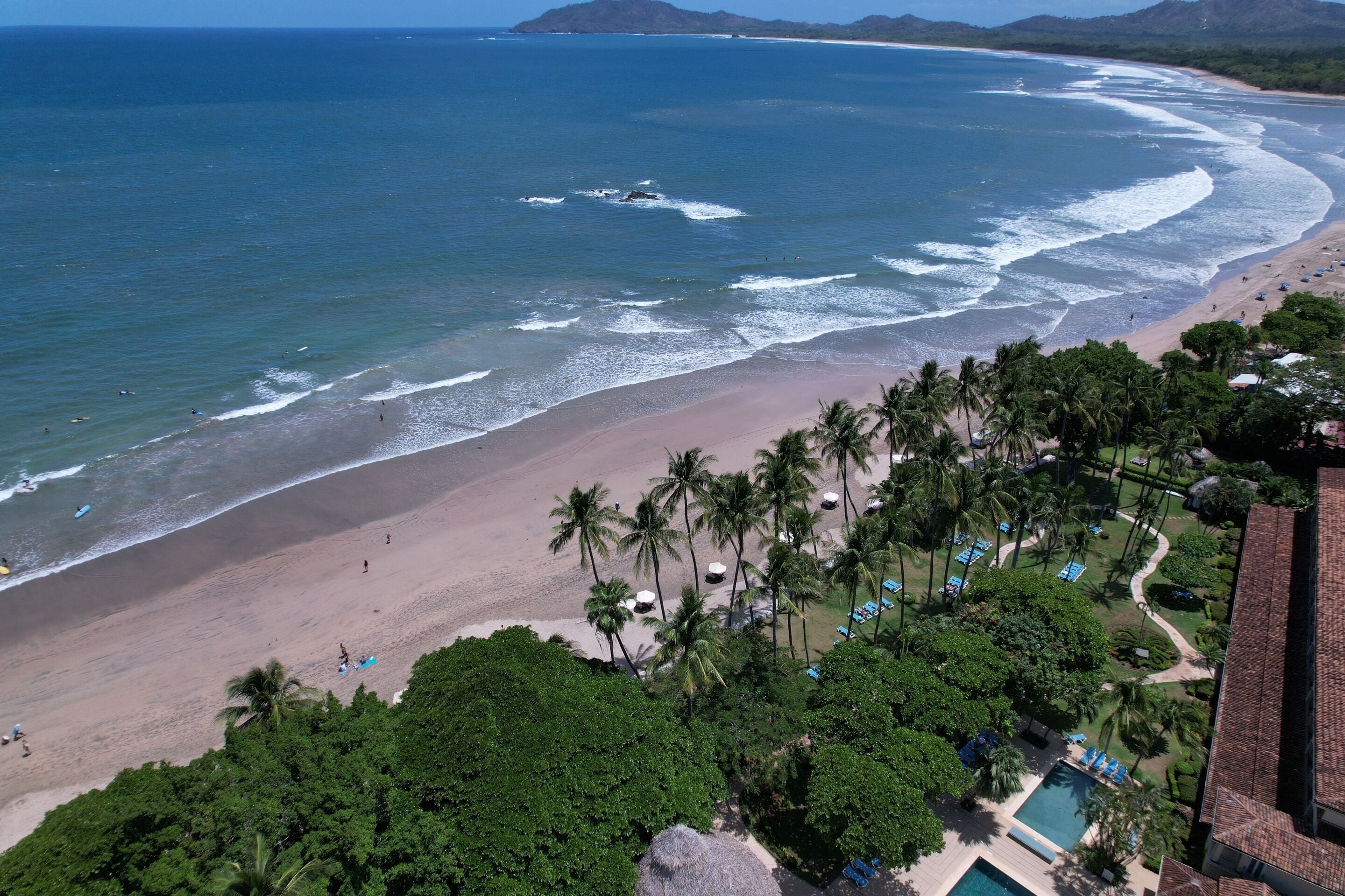 A beach resort with a pool, palm trees, and a view of the ocean.