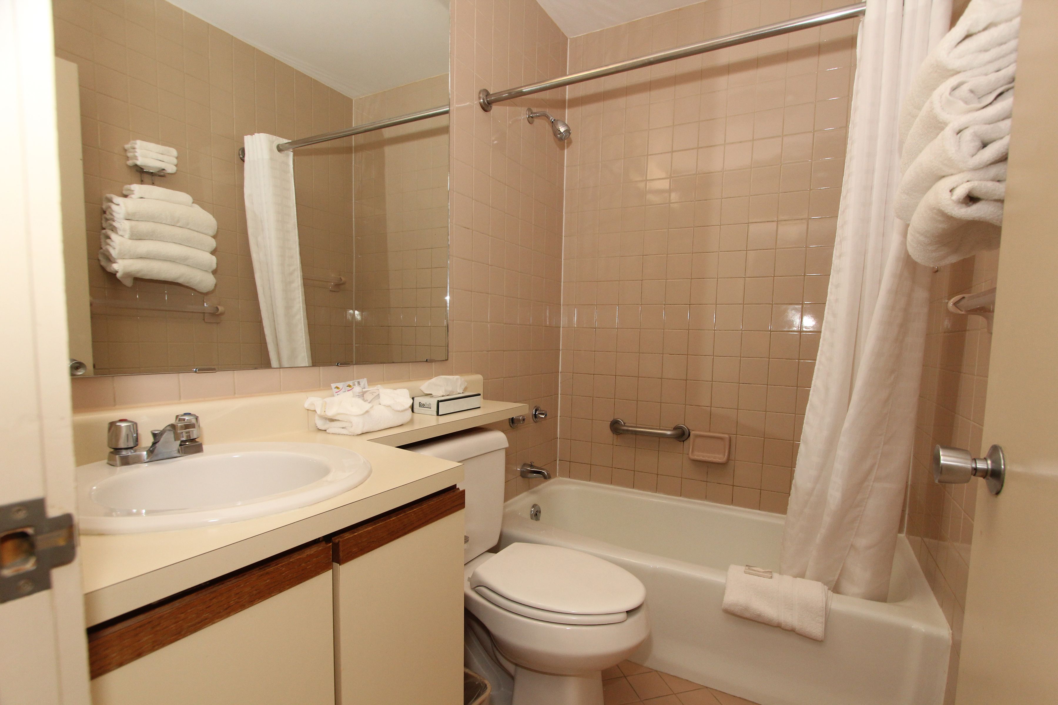 Une salle de bain avec un lavabo, des toilettes et une baignoire.