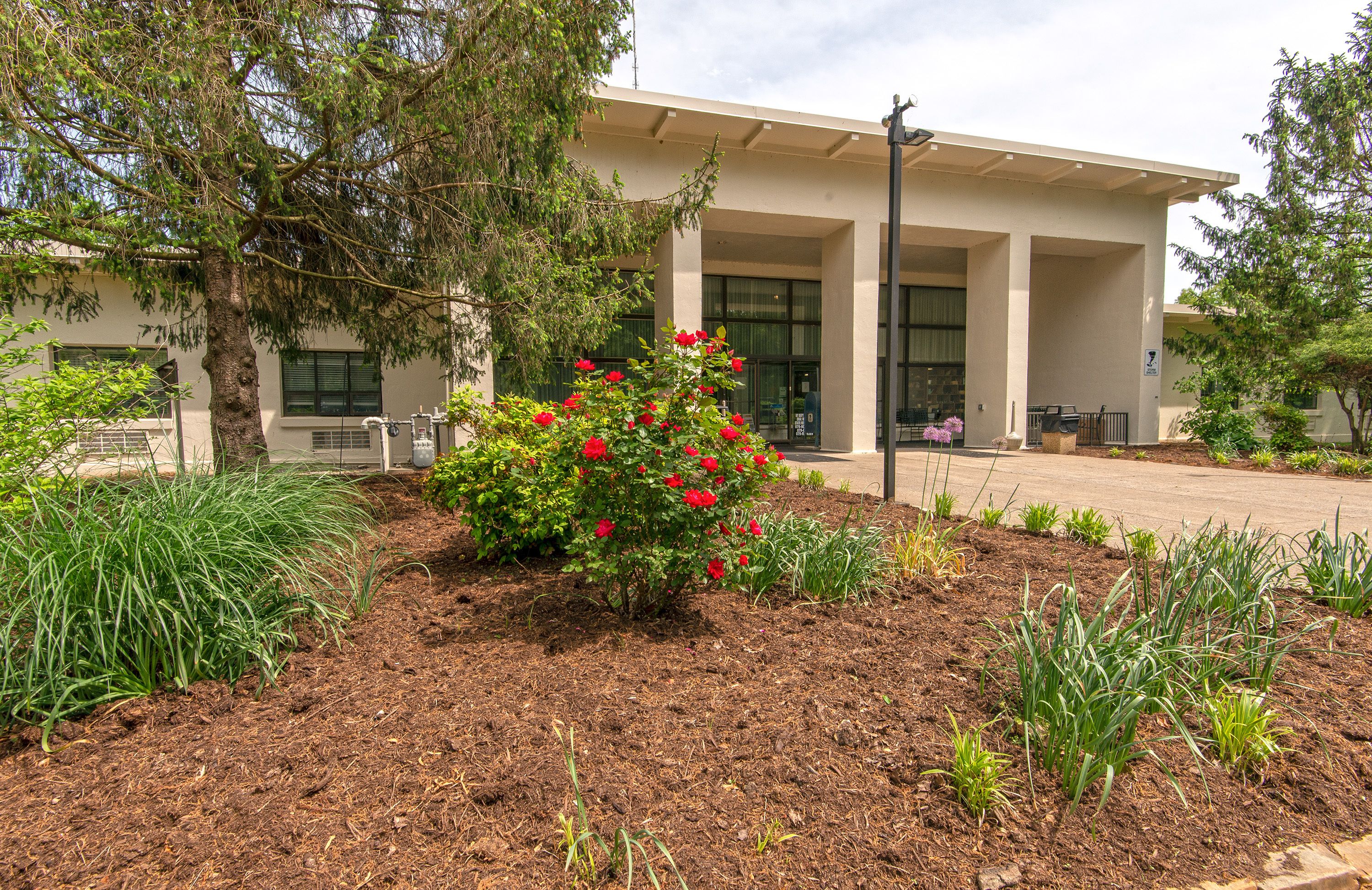 standard room, 1 king bed | terrace/patio