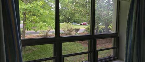 Una ventana con vista a un paisaje verde, que incluye árboles y una carretera con coches aparcados.
