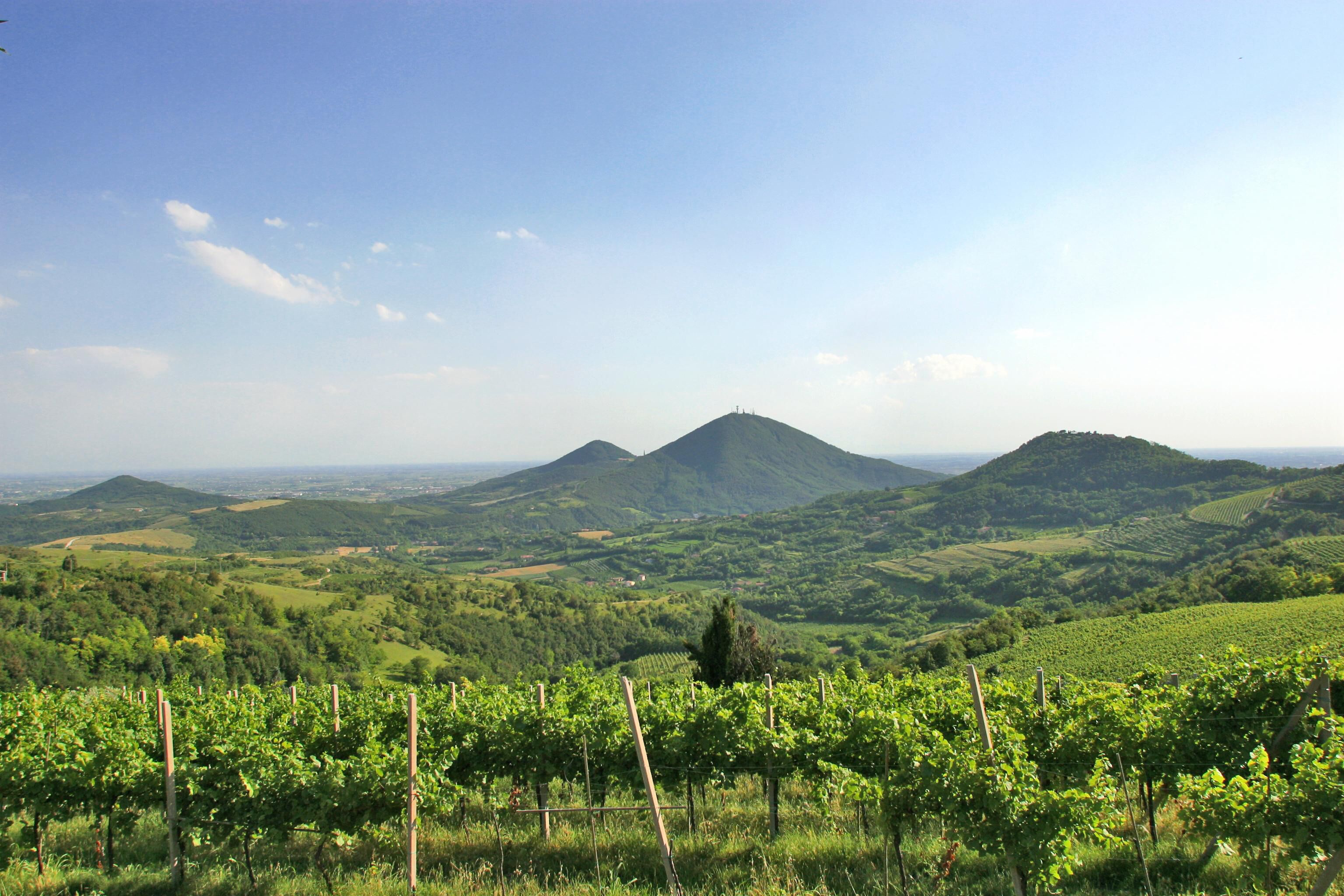 Photo - Hotel Bristol Buja