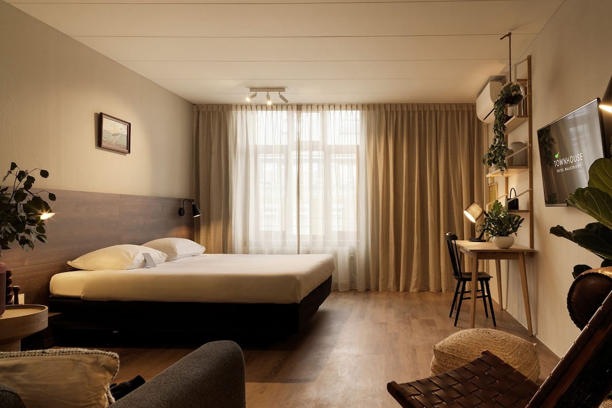 A hotel room with a bed, a desk, a chair, a TV, and a plant.