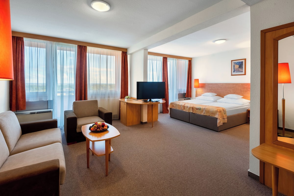 One-bedroom apartment | 1 室のベッドルーム、セーフティボックス (室内)、デスク、遮光カーテン