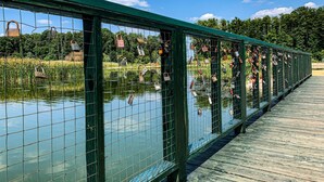 Un pont en bois, doté d’une rambarde métallique, enjambe une étendue d’eau et est entouré de verdure et d’arbres.