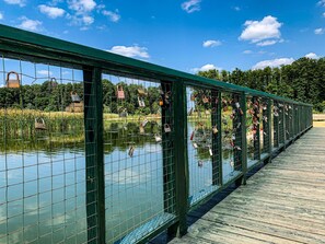 Pool - Hunguest Hotel Freya (Zalakaros)