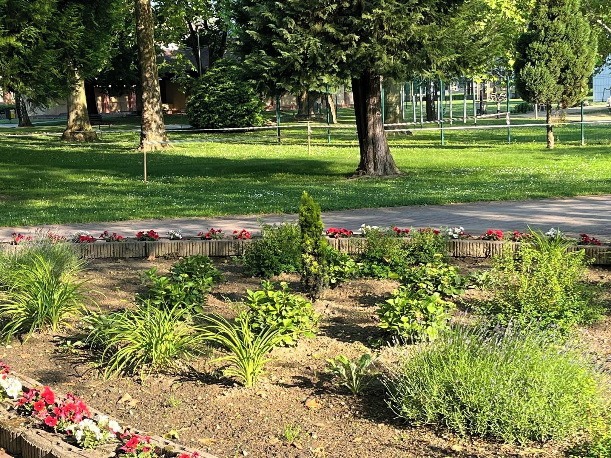 En park med belagt sti, forskellige planter og træer.