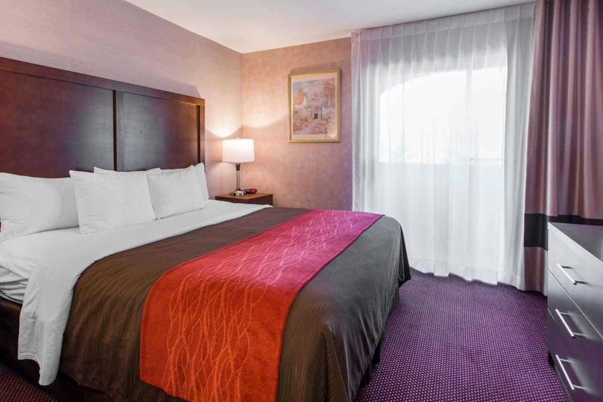 A hotel room with a bed, a nightstand, a lamp, a painting, a window with curtains, and a dresser.
