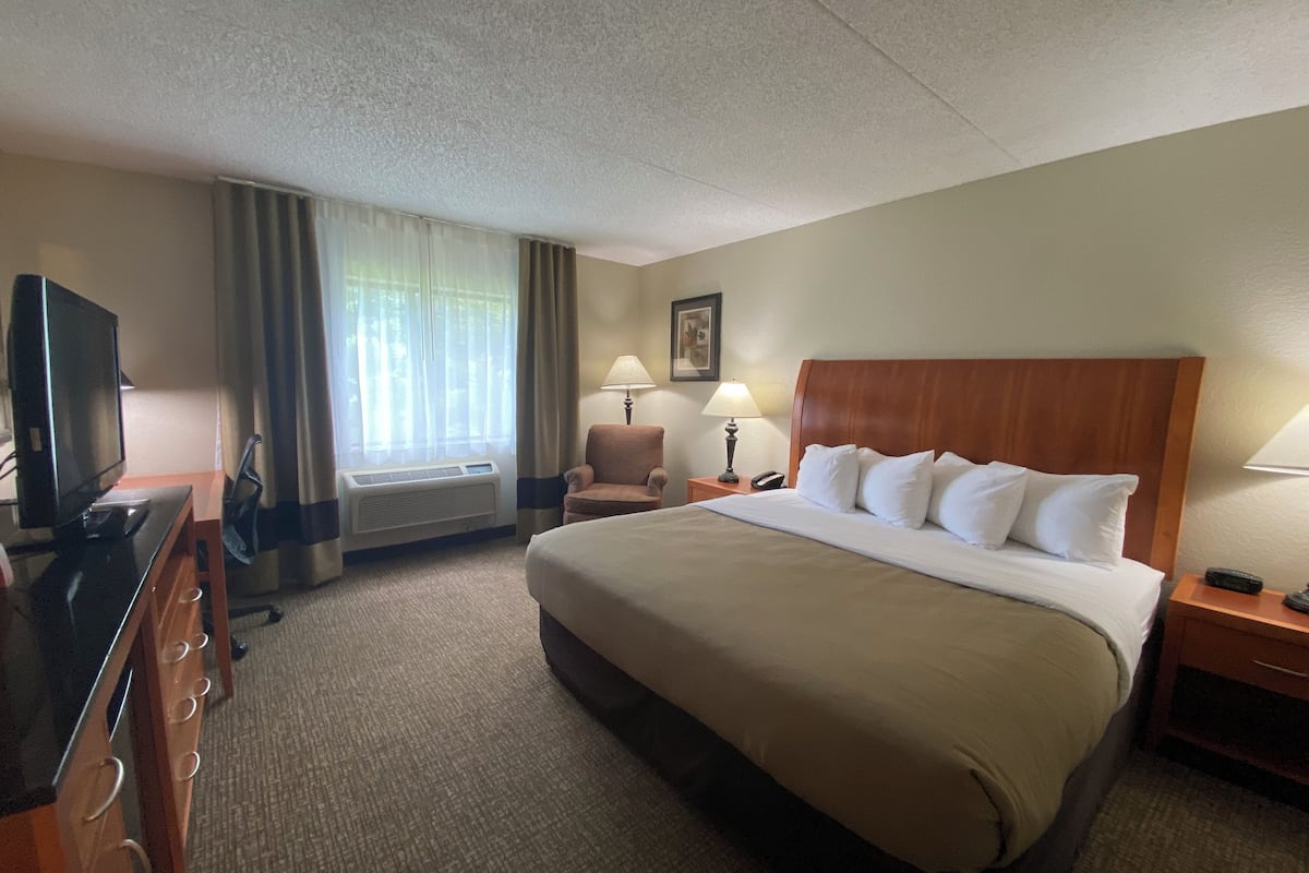 business room, 1 king bed | desk, soundproofing, iron/ironing board, free cots/infant beds