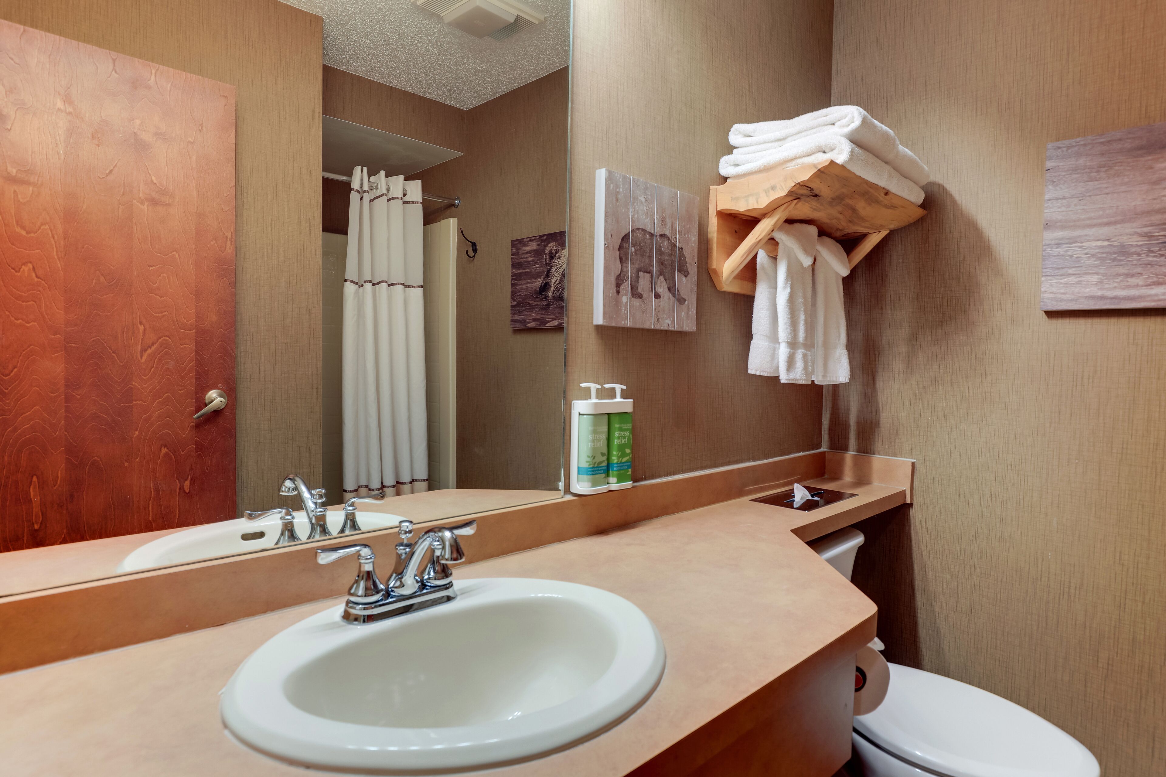 superior suite, 1 king bed with sofa bed, hot tub | bathroom | combined shower/bathtub, free toiletries, hair dryer, towels