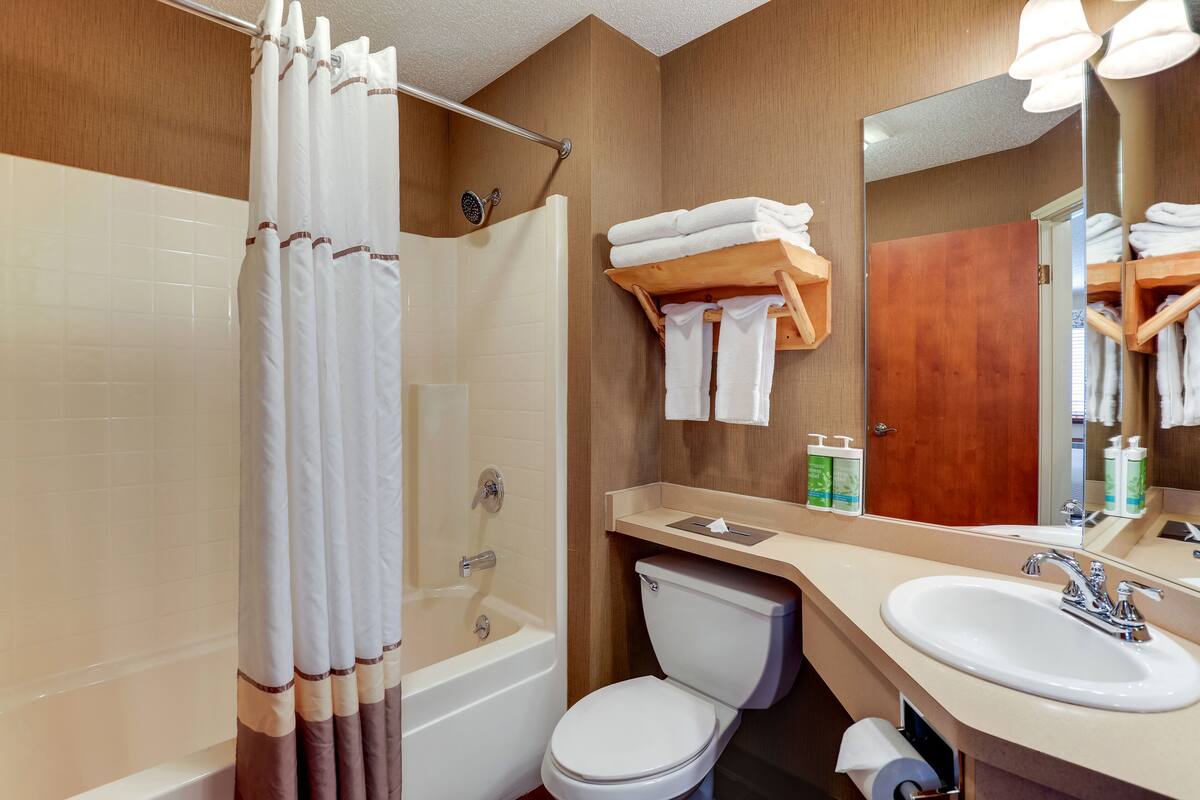 combined shower/bathtub, free toiletries, hair dryer, towels
