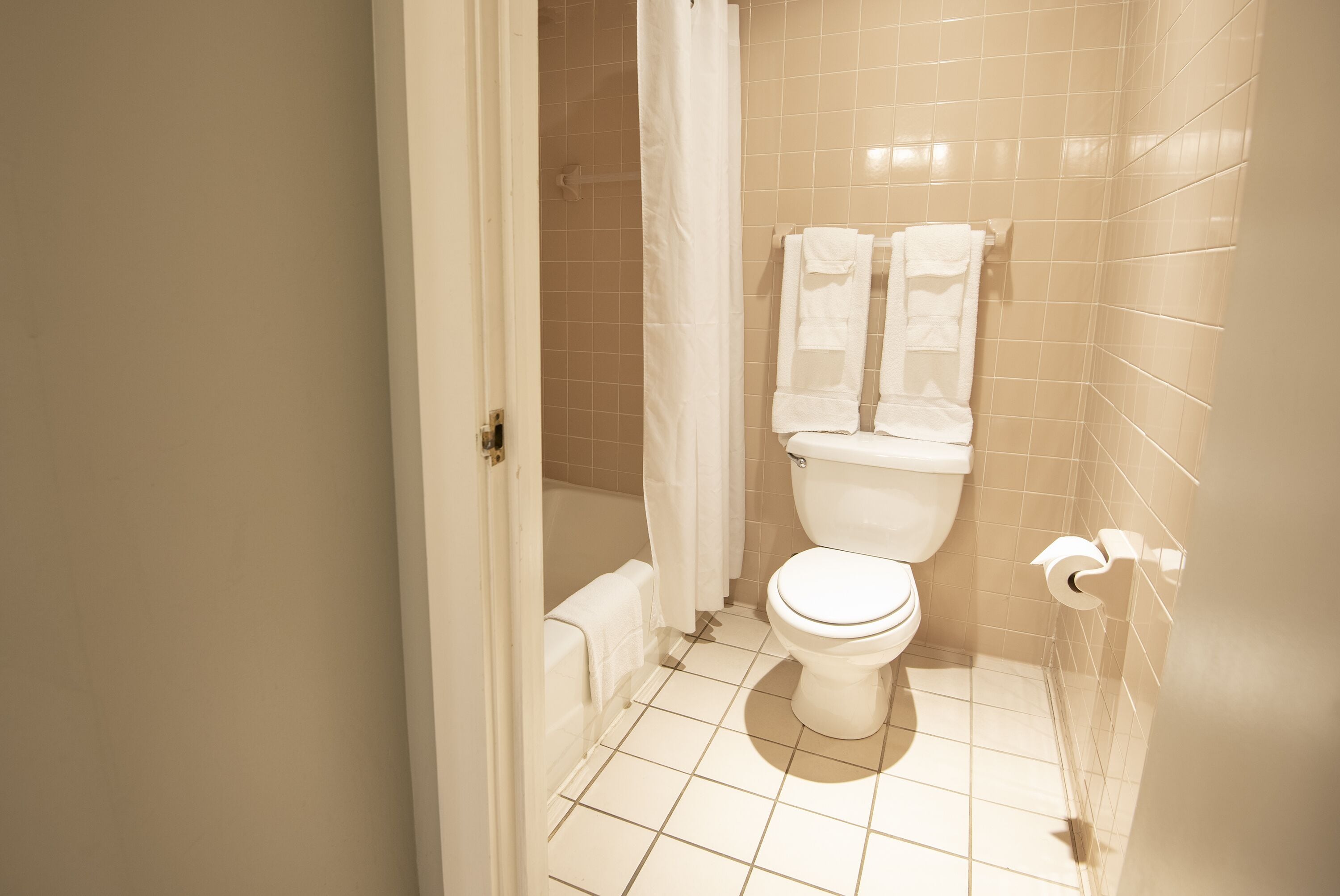 combined shower/bathtub, free toiletries, hair dryer, towels