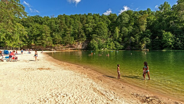 Une plage de sable fin bordée d’une eau cristalline, entourée d’une forêt dense.