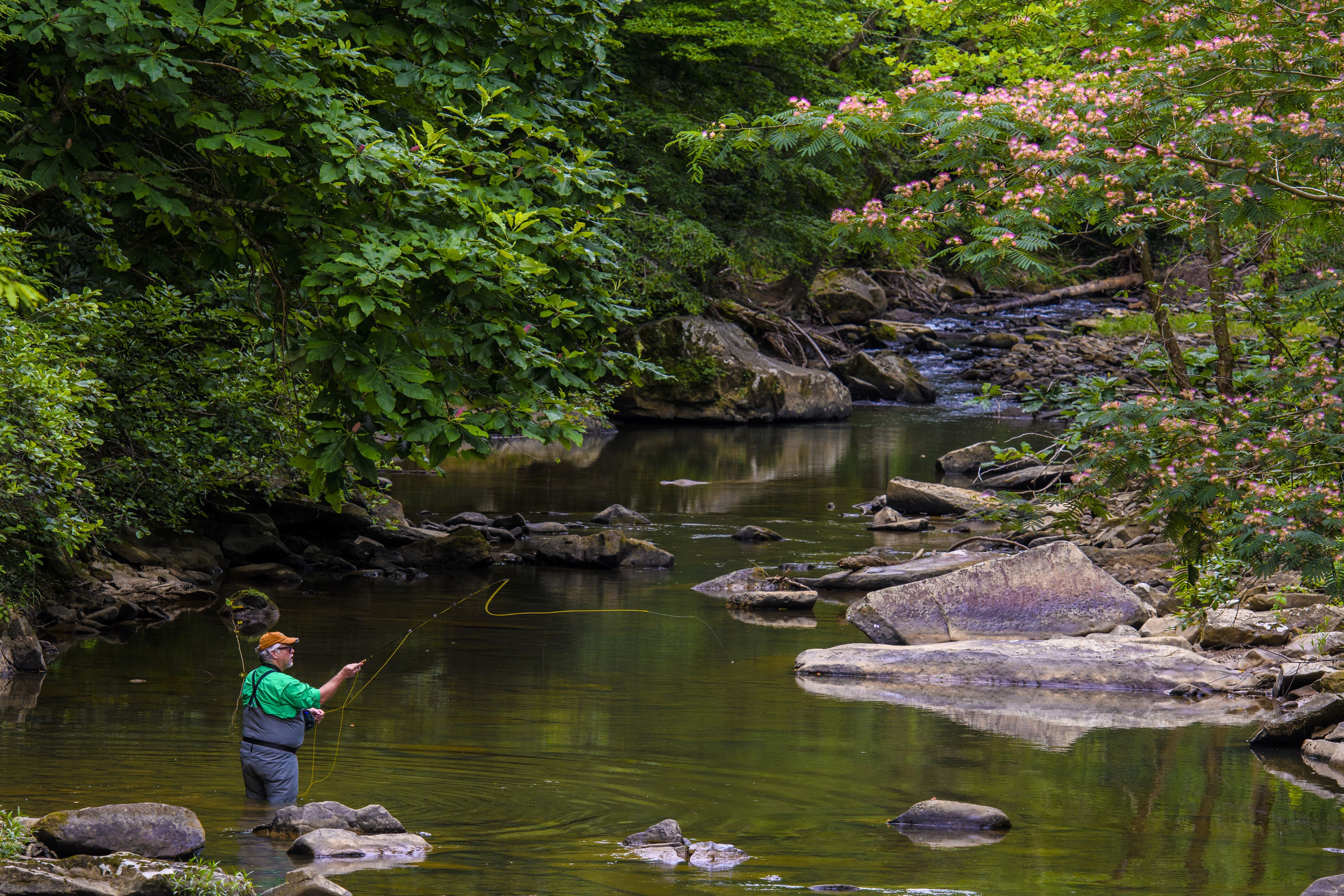 Un hombre pescando en un río rodeado de rocas y vegetación.