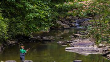 Un hombre pescando en un río rodeado de rocas y vegetación.