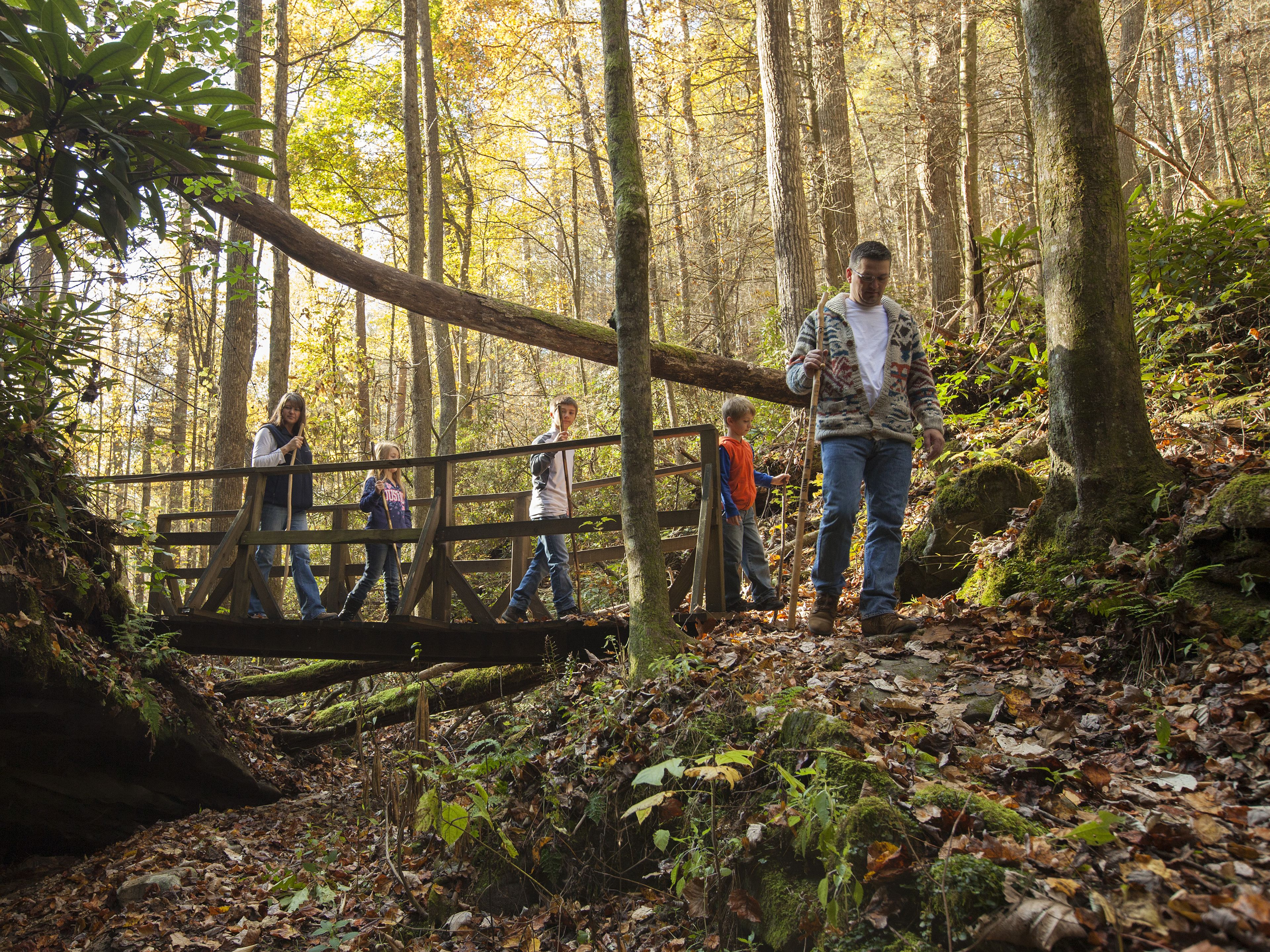 A wooden bridge in a forested area with people walking across it.