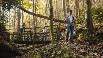A wooden bridge in a forested area with people walking across it.