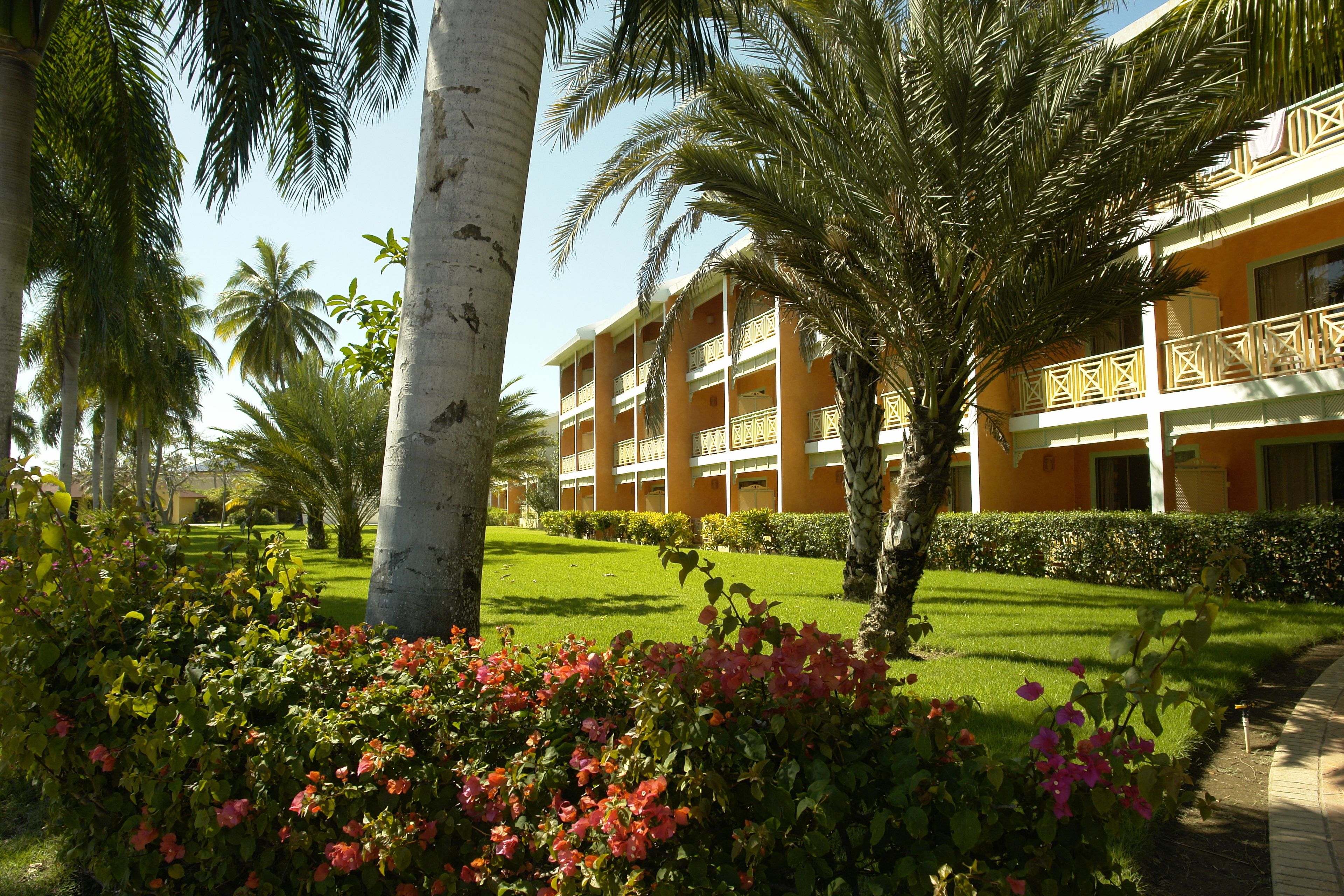 Foto - VIK hotel Arena Blanca