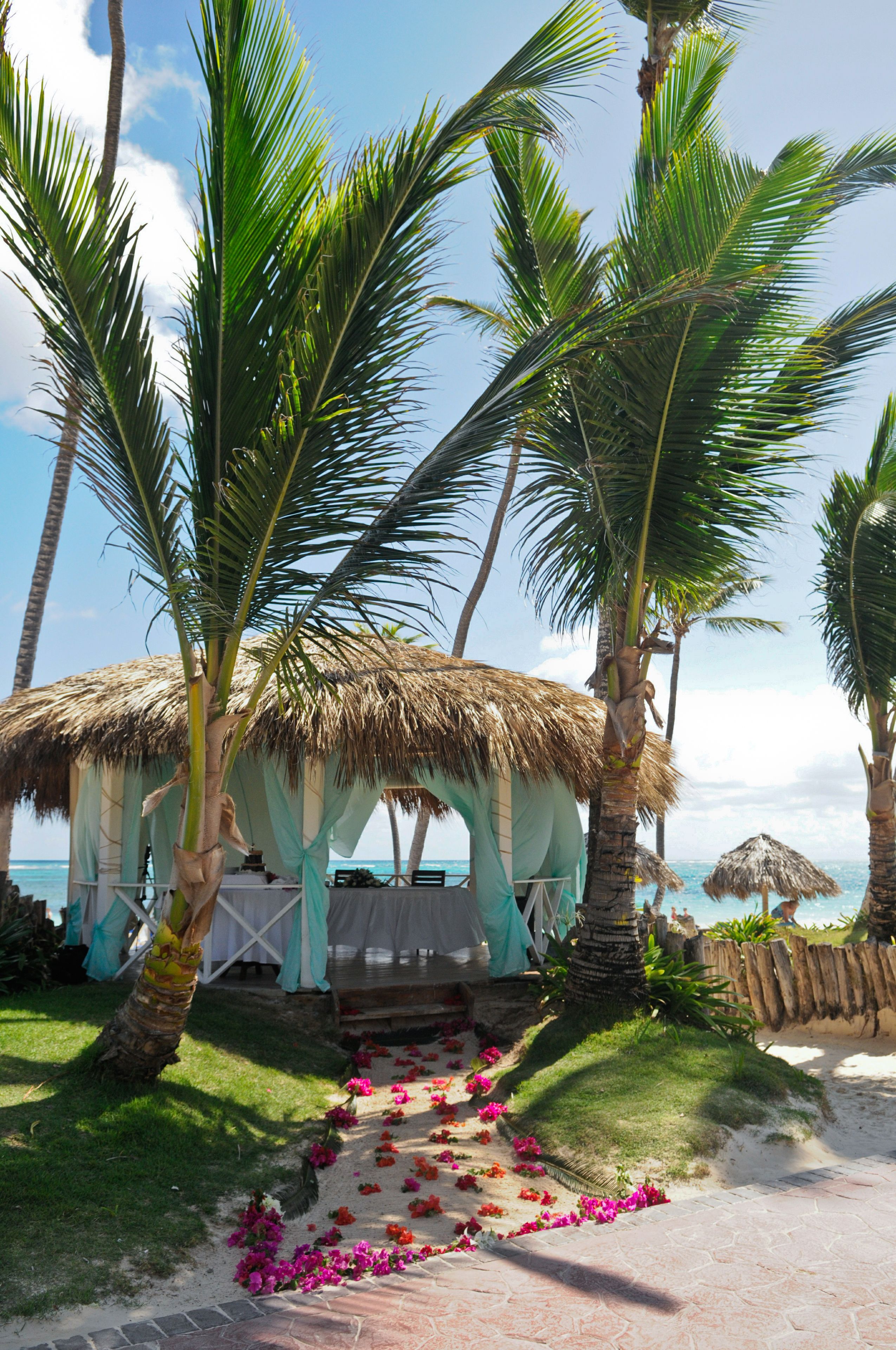 Foto - VIK hotel Arena Blanca