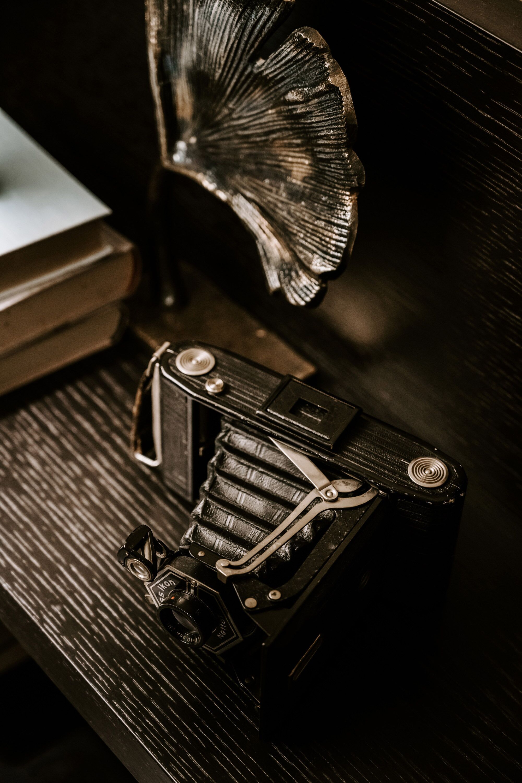 A vintage camera on a wooden surface with a metallic, leaf-like structure in the background.