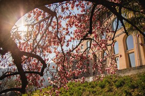 Front of property - Kurhaus Cademario Hotel & SPA (Cademario)