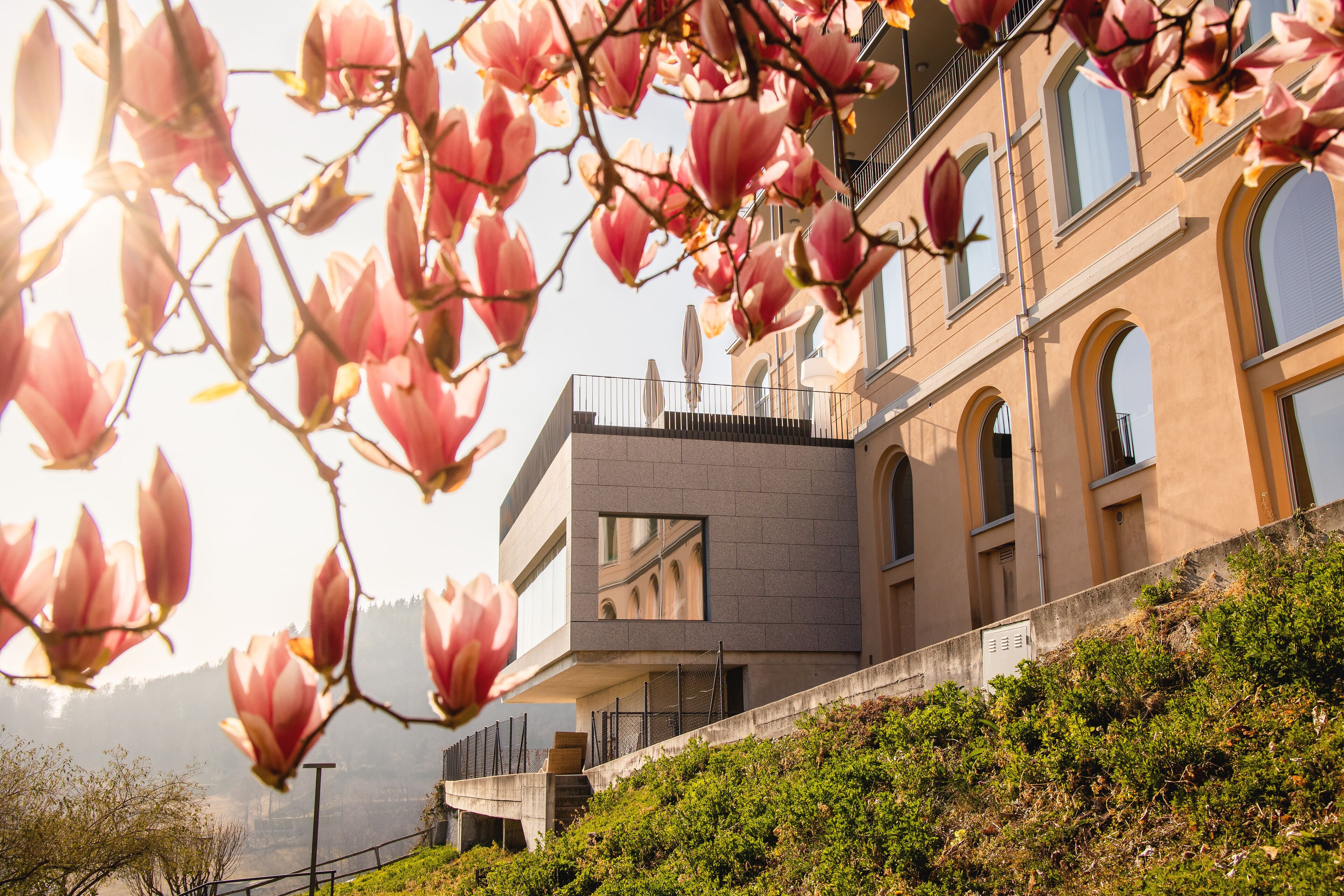 Foto - Kurhaus Cademario Hotel & SPA - Adults Only