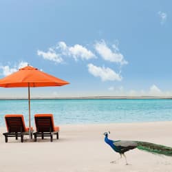 Private beach, sun loungers, beach umbrellas, beach towels