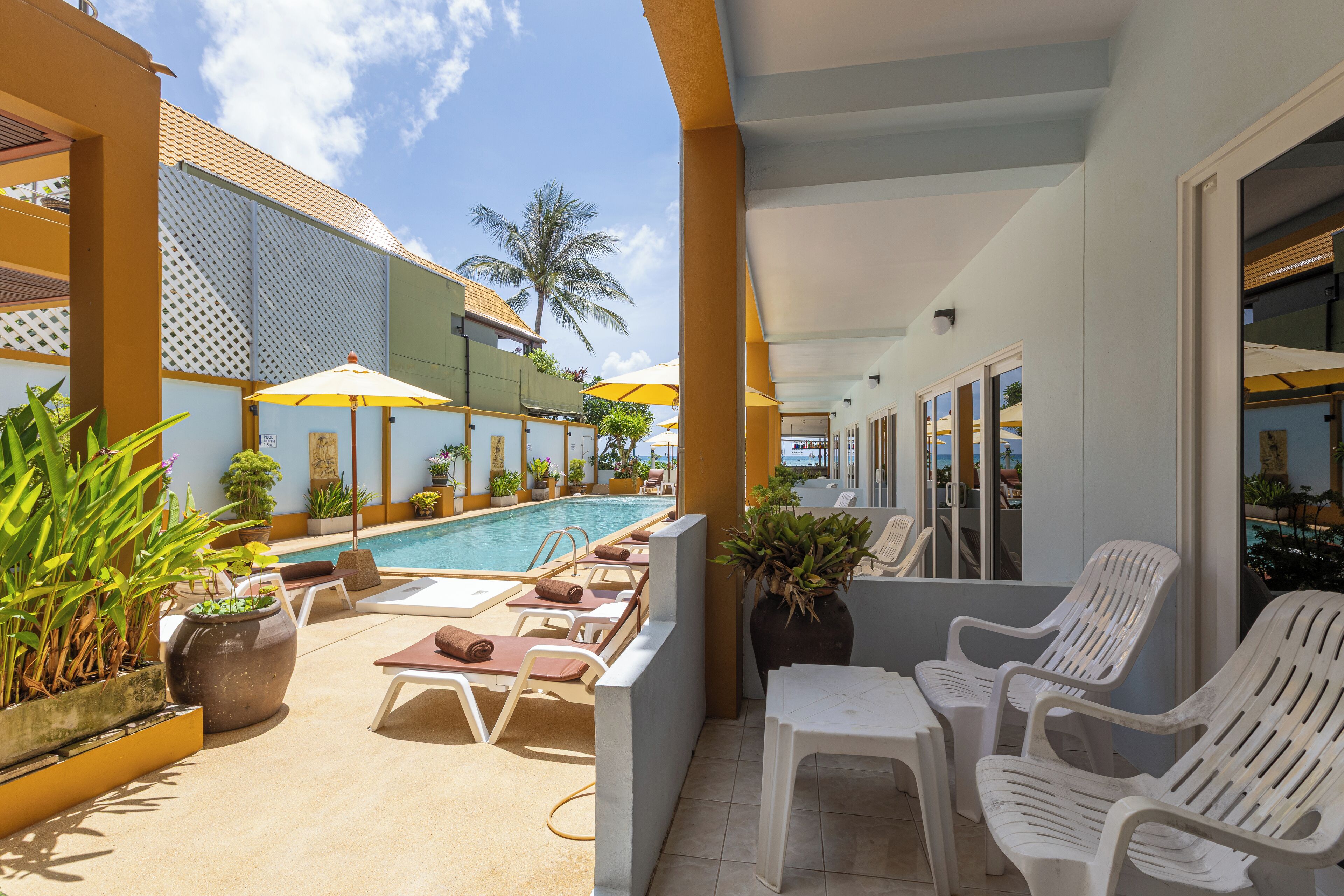 Foto - Kamala Dreams