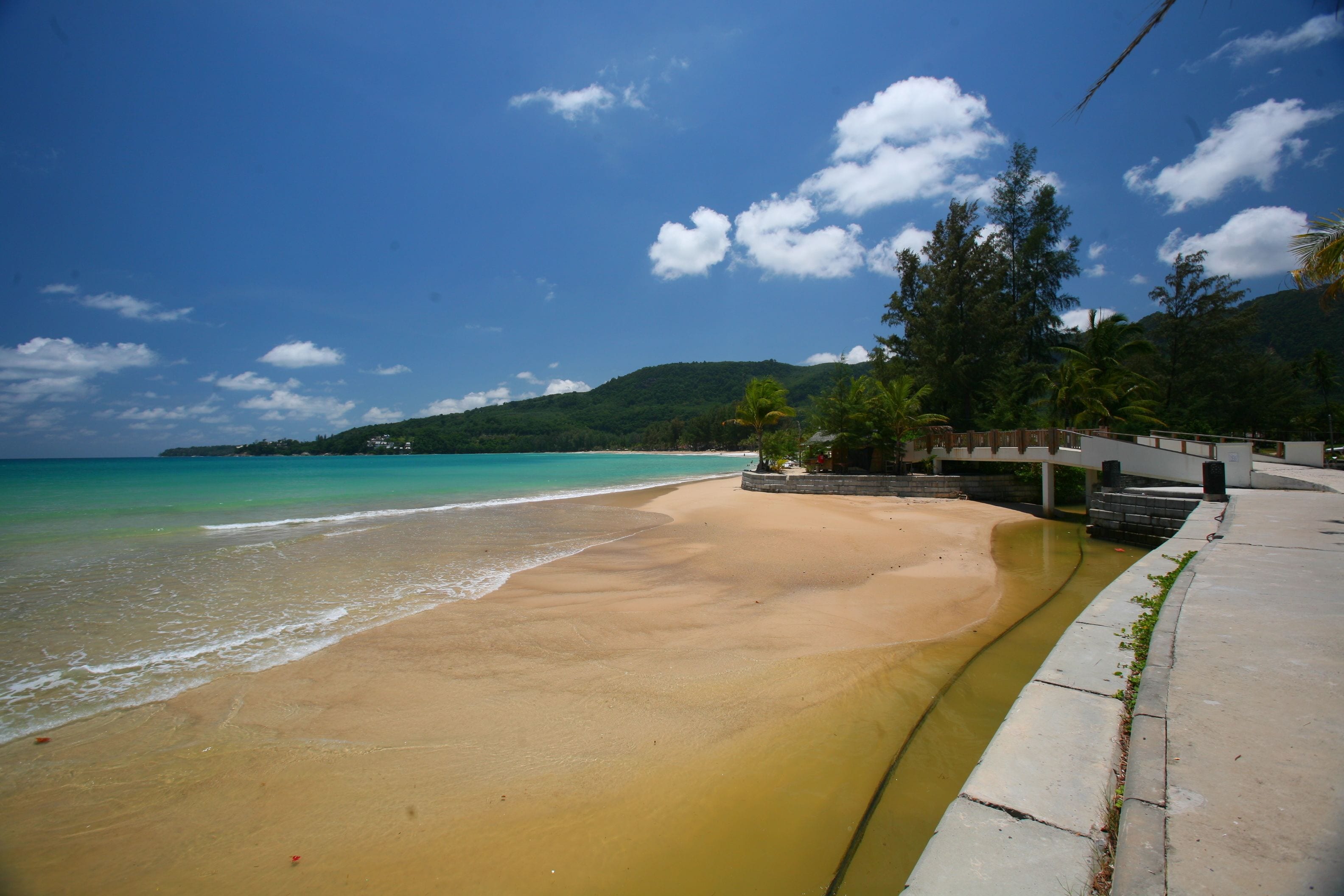 Foto - Kamala Dreams