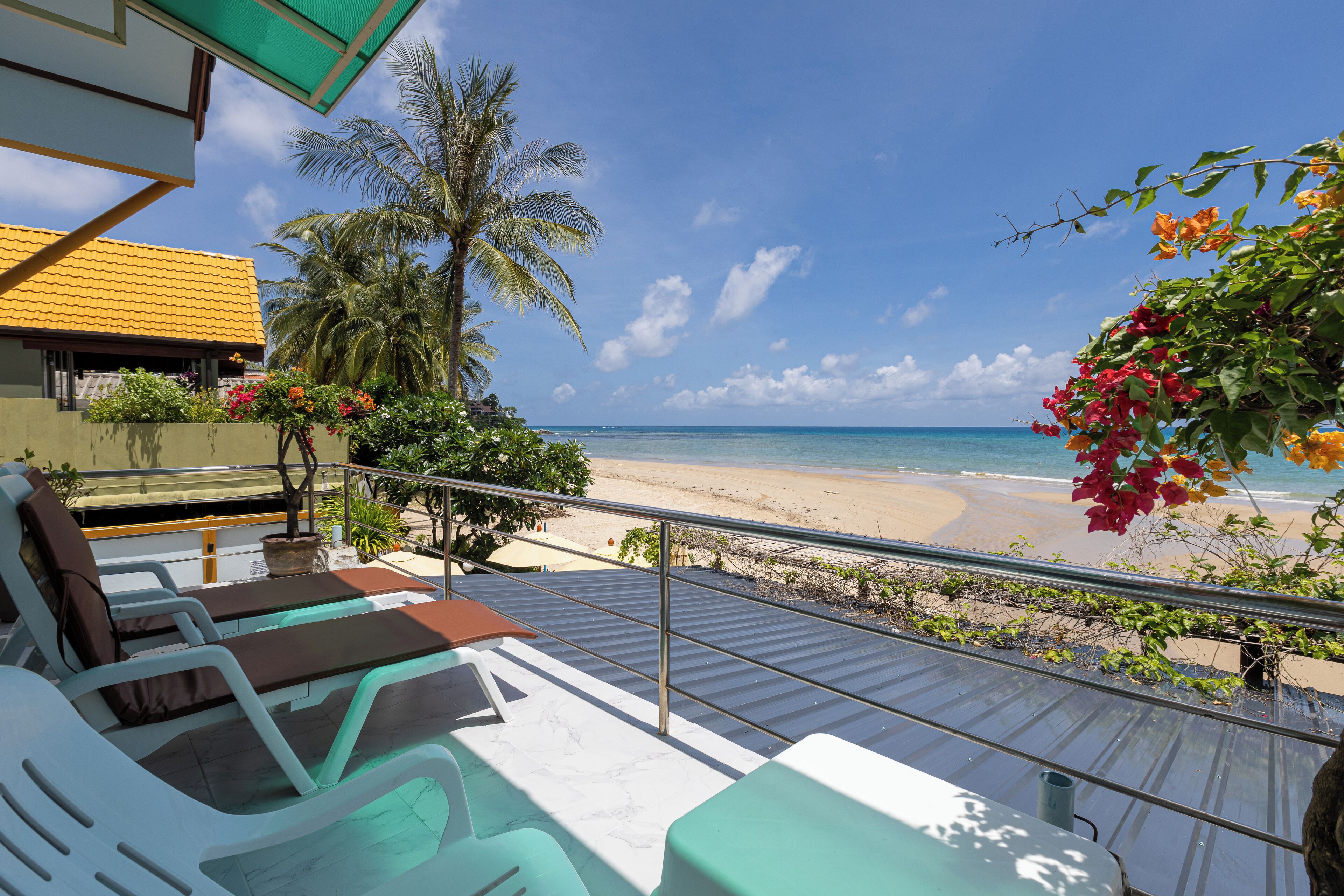 Foto - Kamala Dreams