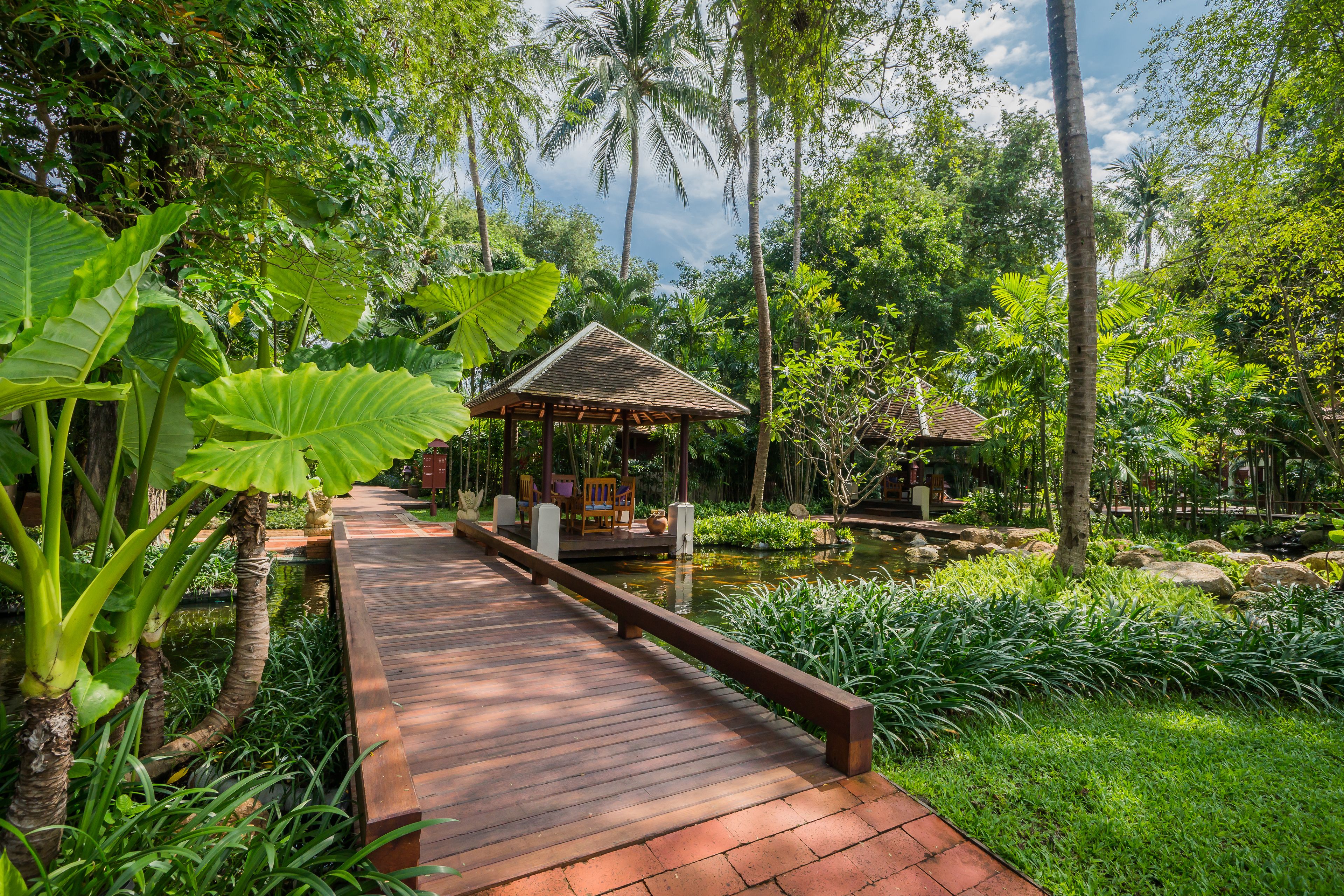 Garden