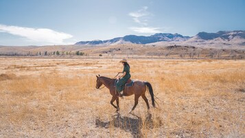 Horseback riding