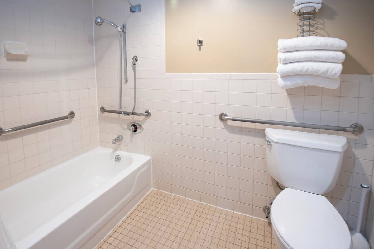 room, 1 queen bed, accessible, lake view | bathroom | combined shower/bathtub, free toiletries, hair dryer, towels
