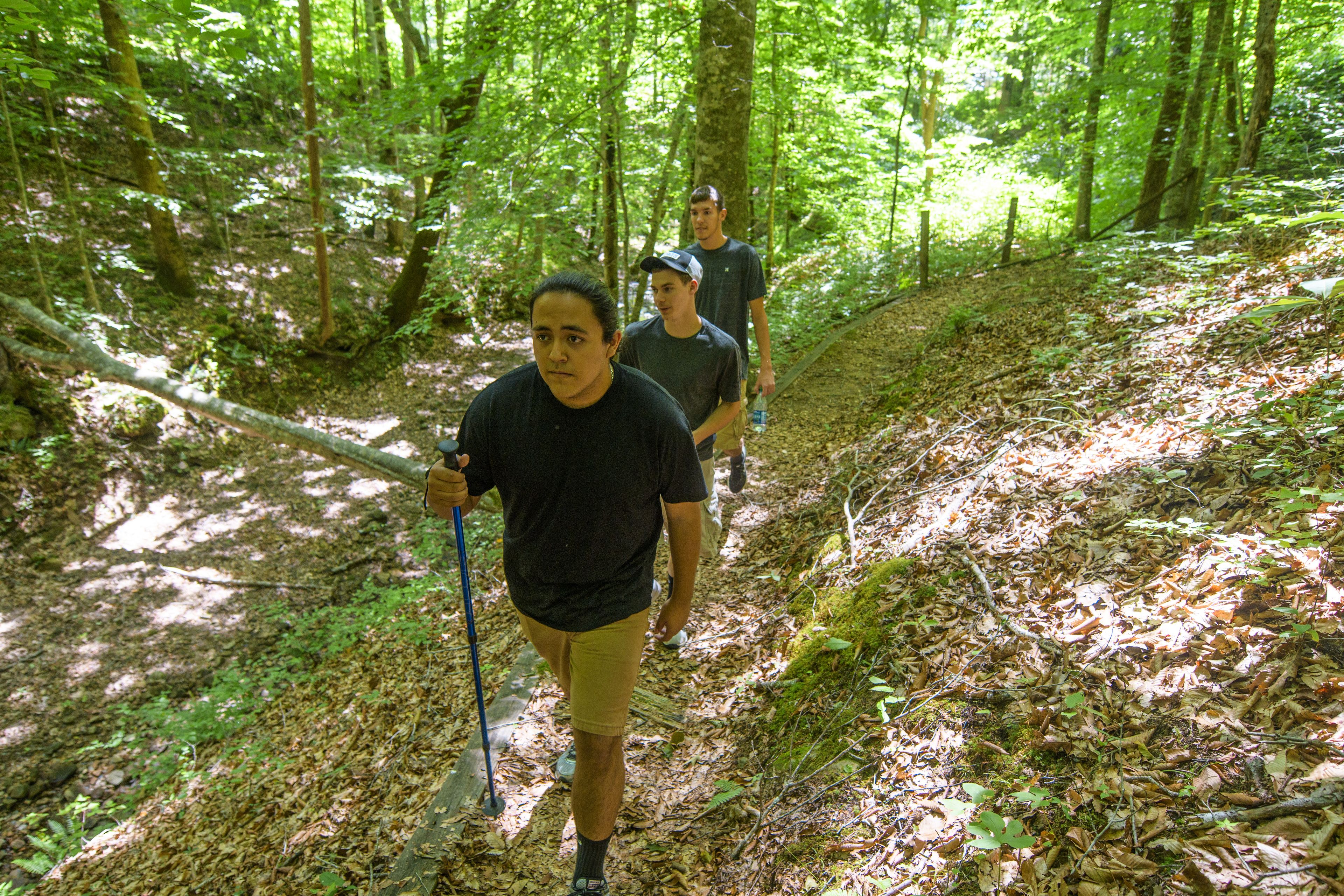 Un sentier de randonnée boisé où l’on peut voir trois personnes qui marchent.