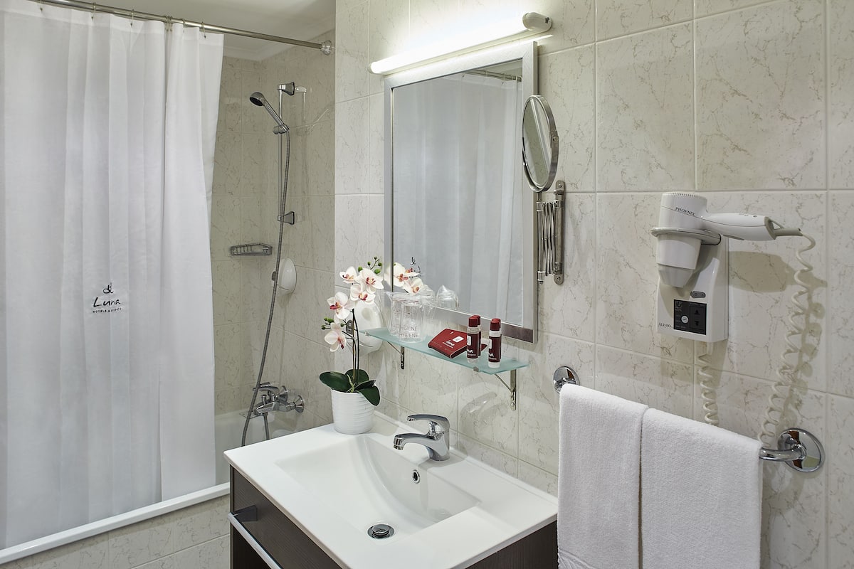 combined shower/bathtub, free toiletries, hair dryer, bidet