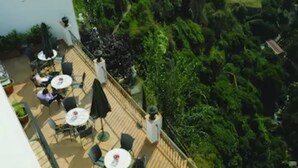 Una terraza al aire libre con mesas y sillas, rodeada de abundante vegetación.
