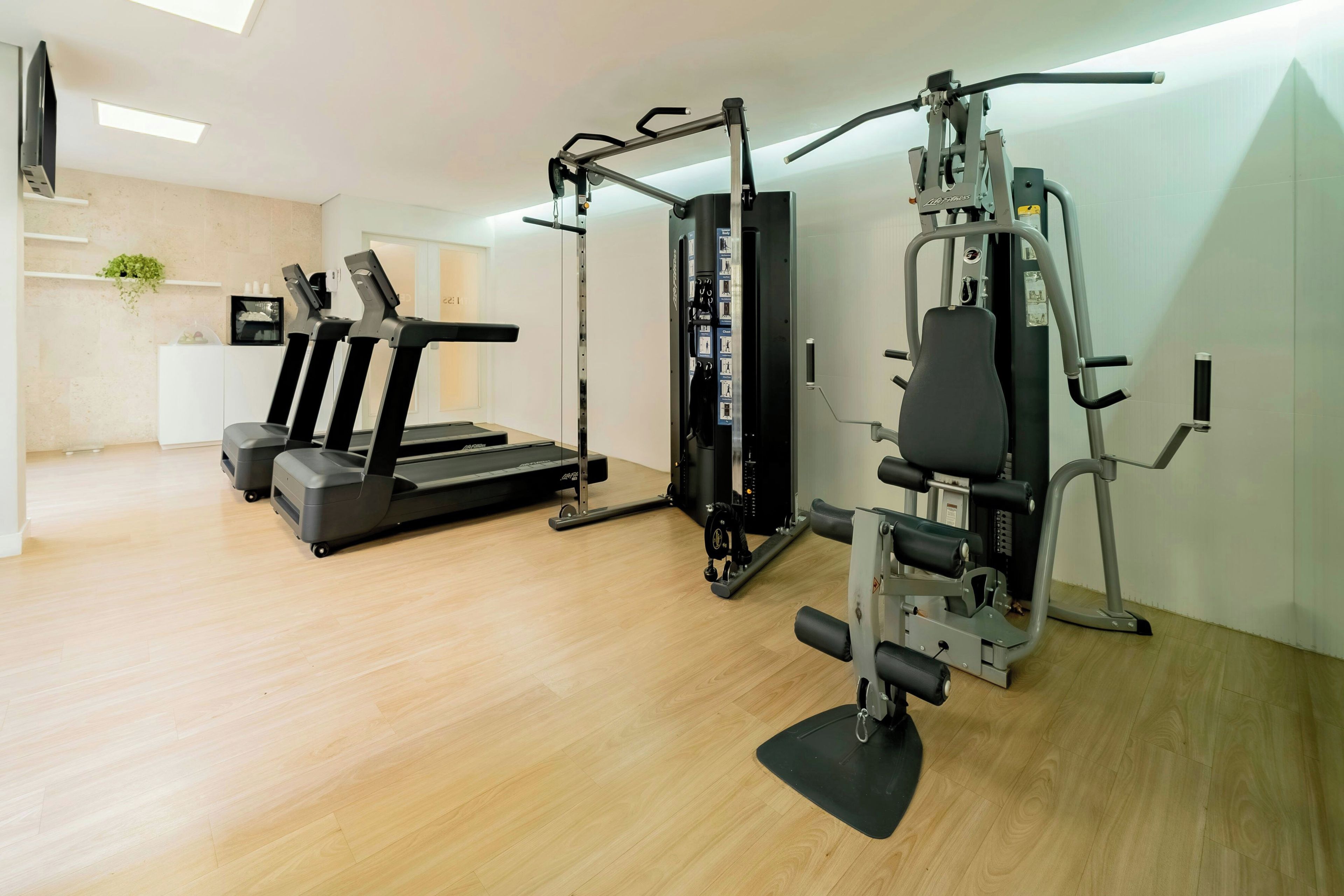 A modern gym with treadmills, weight machines, and a mirror.