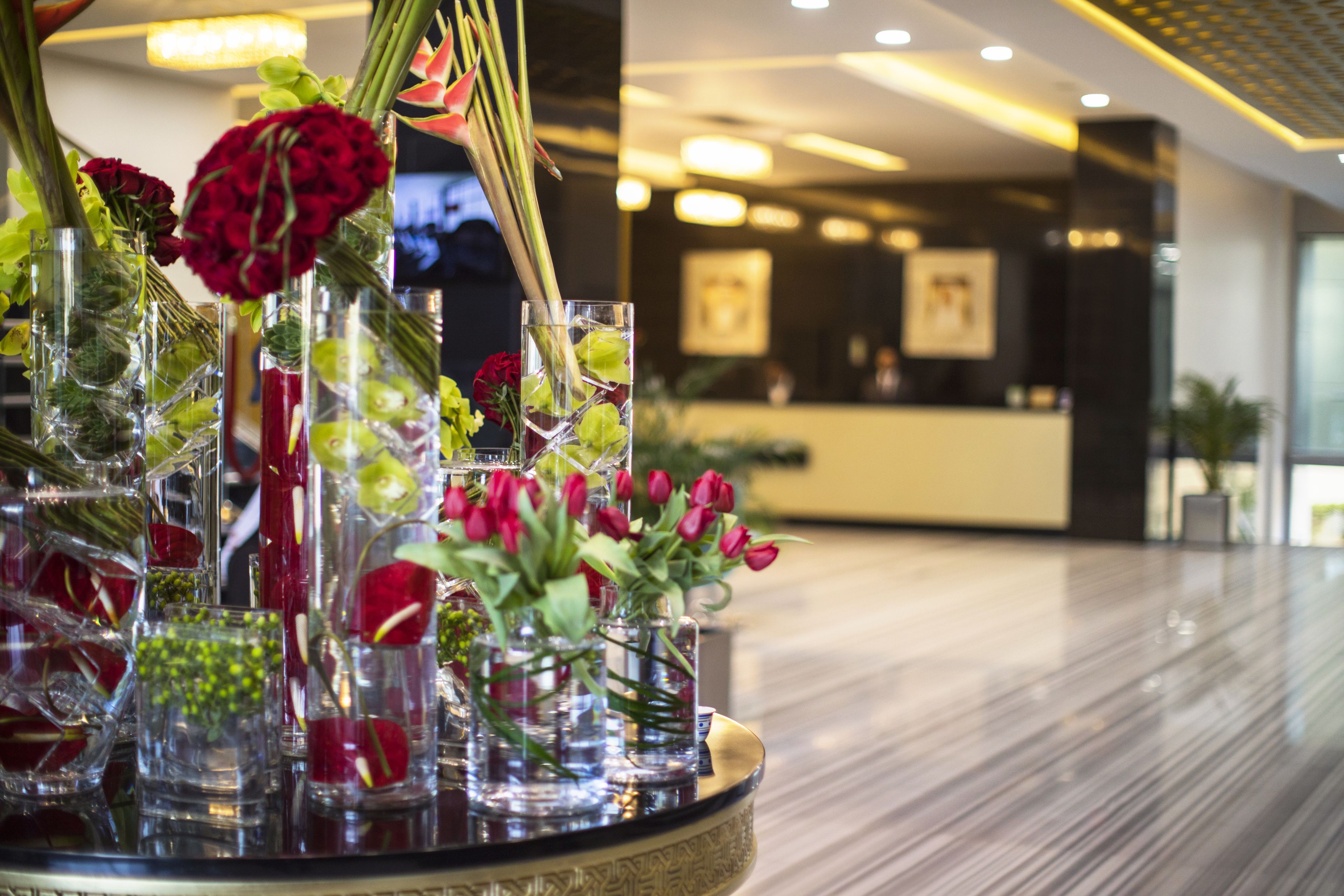 Foto - The Palms Beach Hotel & Spa