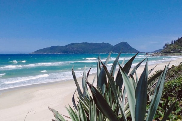 Pantai berhampiran, payung