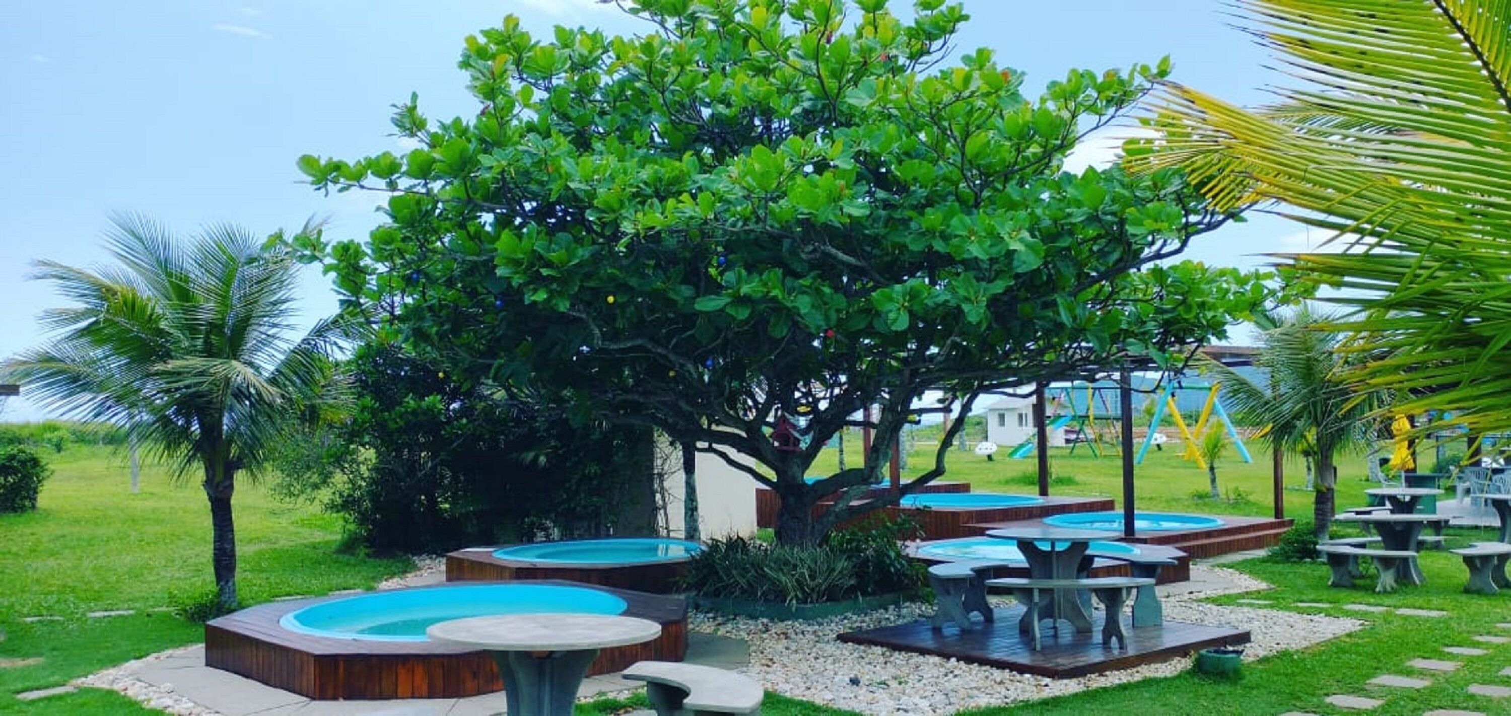 A pool area with multiple hot tubs and tables, surrounded by lush greenery and palm trees.