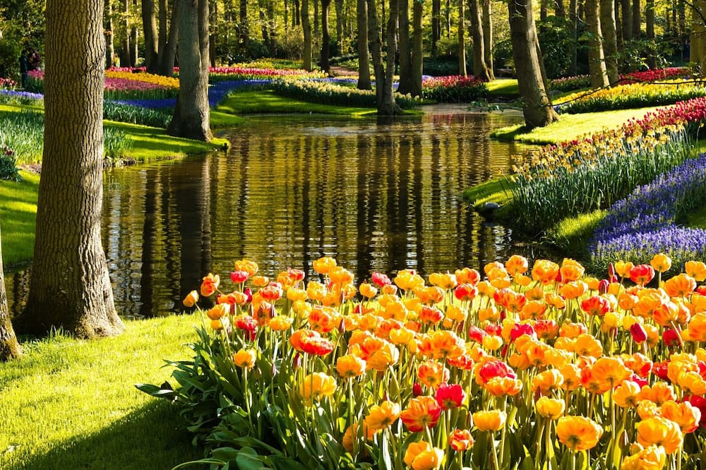 Boutique Hotel Herbergh Amsterdam Airport