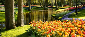 Boutique Hotel Herbergh Amsterdam Airport