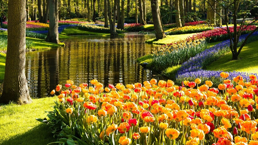 Boutique Hotel Herbergh Amsterdam Airport