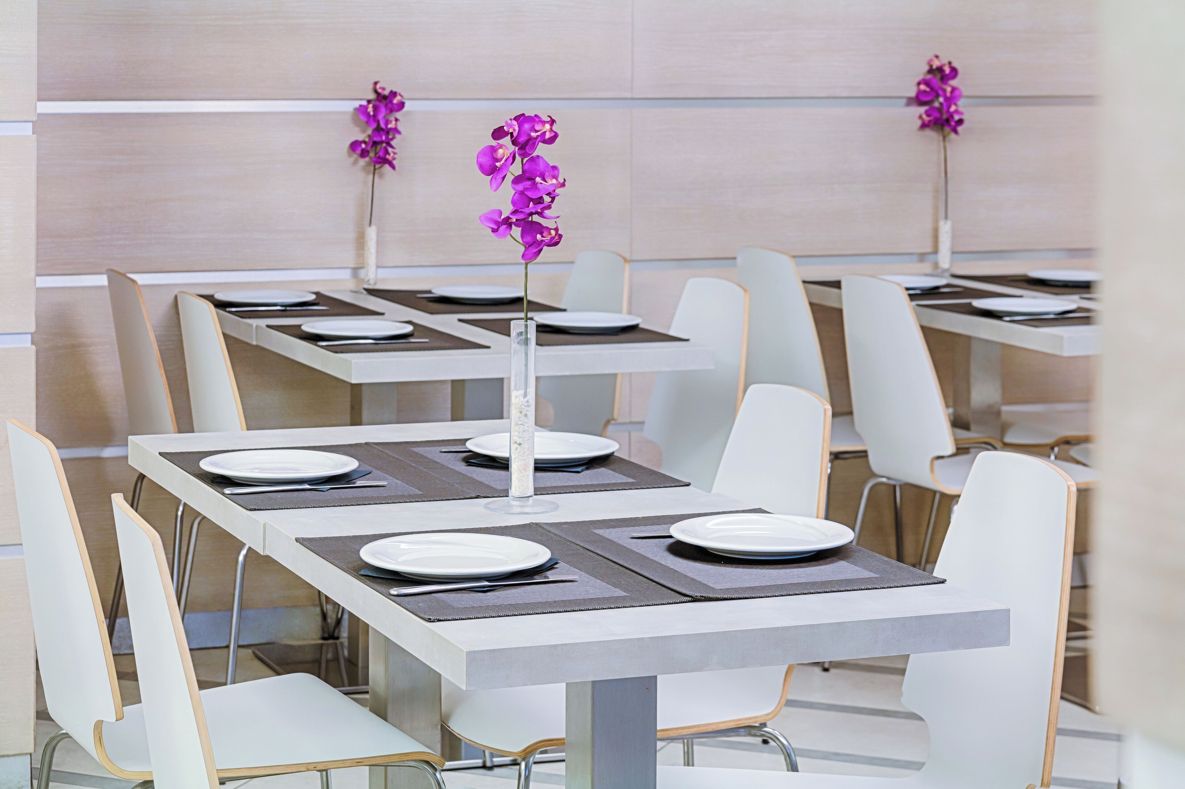 Foto - Hotel Raganelli